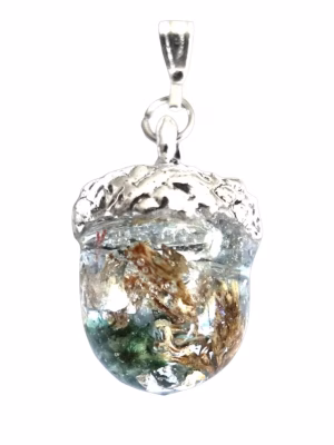 faerie acorn